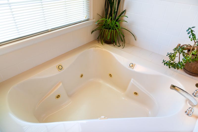 Dual-Function Bathtub